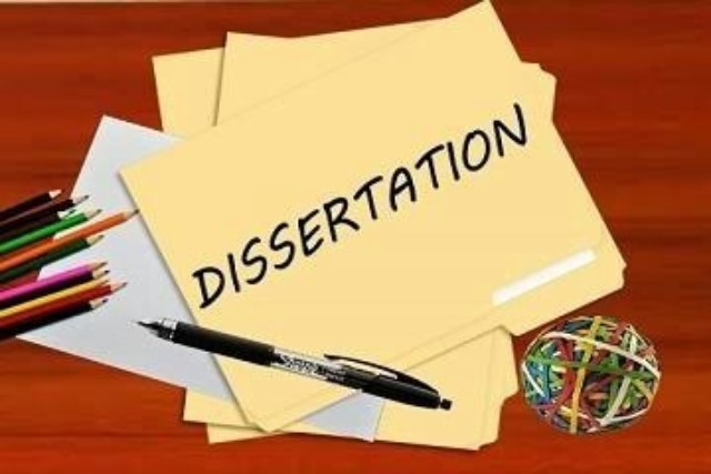 Essay Writer Essay Writer